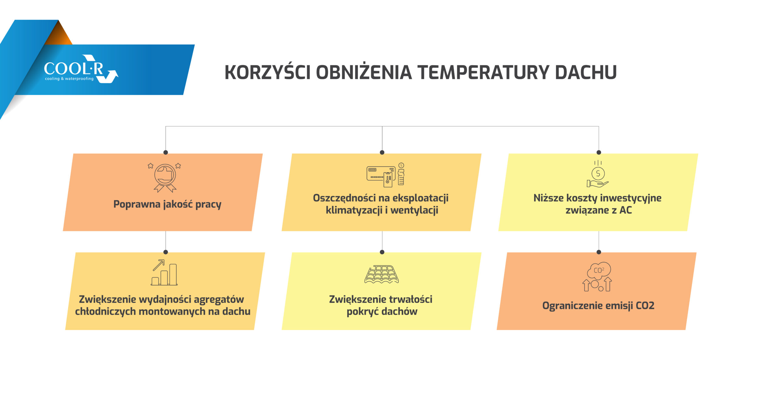 Jeden produkt, wiele korzyści